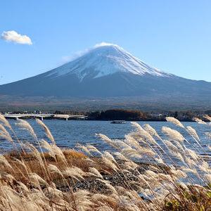 Meet your Posher, Cathy